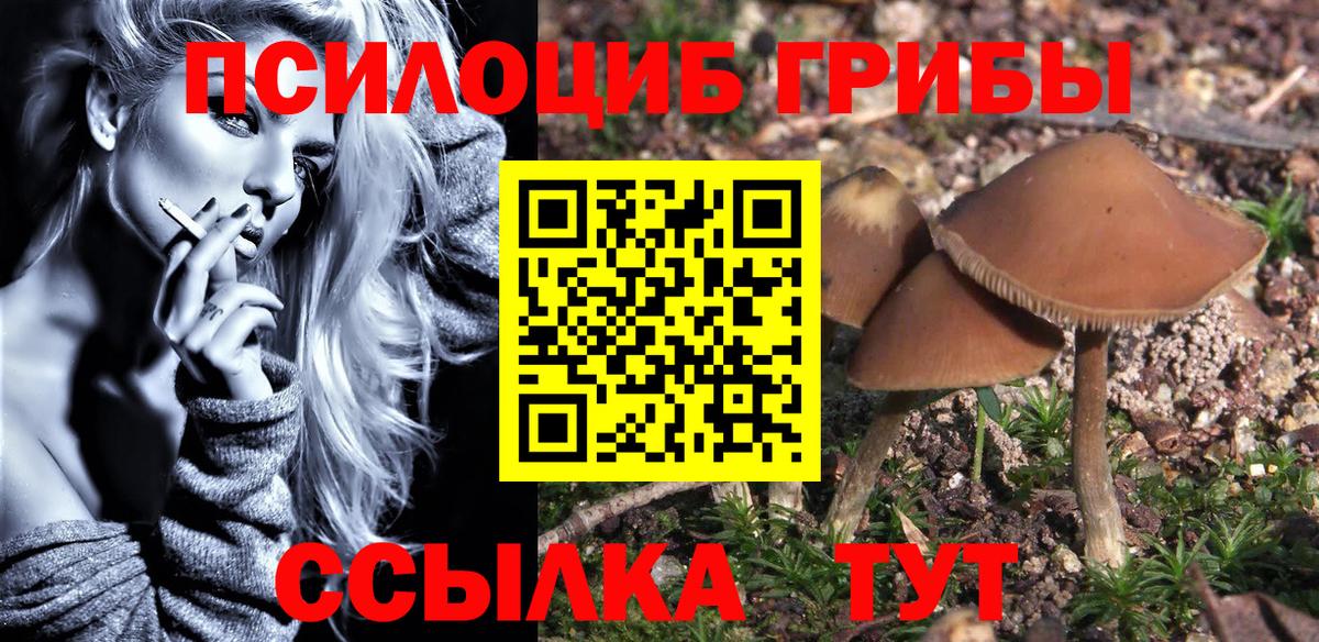 Ставрополь  Галлюциногенные грибы MAGIC MUSHROOMS  Вход с VPN 
